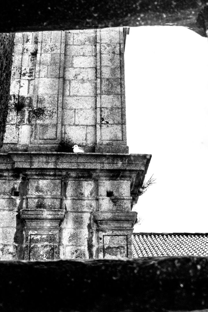 Foto Centro de Fotografia em Portugal Foto Centro de Fotografia em Portugal - Imagem 21